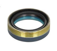 Guarnizione, differenziale ANAC MAKINA 12014977-AN