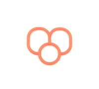 Guarnizione esterna LSR 60 404 rosso