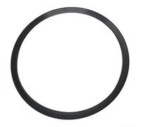 Guarnizione filtro di ricambio, guarnizione della testa del filtro, O-ring per Hayward CX250F per cartucce Star-Clear Select, adatta a C250, C500, C750, C1000 (1 pezzo)