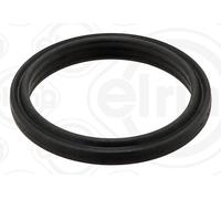 Guarnizione flangia linea liquido di raffreddamento lato motore adatta a DS...