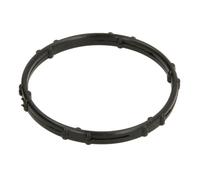 Guarnizione flangia linea liquido di raffreddamento Testa motore adatta per...