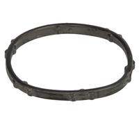 Guarnizione flangia linea liquido di raffreddamento Testa motore adatta per...