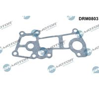 Guarnizione, flangia refrigerante Testa a cilindro per CITROËN FIAT IVECO MITSUB