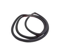 Guarnizione In Gomma Parafreddo Per Portiera Anteriore BMW E90 E91 2005-2008