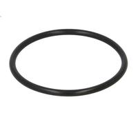 Guarnizione, ingresso turbina (caricabatterie) per ATEGO 4.249 1998-2004