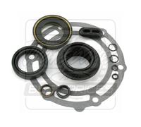 Guarnizione Kit Di Tenuta Per Trasferimento NP261 NP263 Nuovo Processo GM Chevy