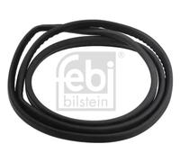 Guarnizione, lunotto posteriore FEBI BILSTEIN 08883