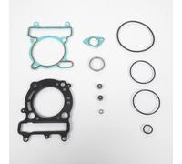 guarnizione motore rms per scooter malaguti 250 madison s 1999-2001 10 068 9160
