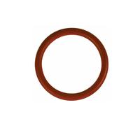 Guarnizione o-ring 46 mmØ per gruppo erogatore per macchina da caffè come Philips Saeco 140329262, 996530013581