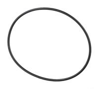Guarnizione O-ring compatibile con pompa filtro Intex e Steinbach Sps25 Sps50 Sps75 Sps100, guarnizione nera per coperchio prefiltro, diametro interno 77 mm (1 pezzo)
