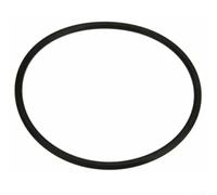 Guarnizione O-Ring per alloggiamento della pompa del carburante BMW 2009-2020, compatibile con codice articolo originale 16117188567