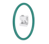 Guarnizione O-Ring Per Gruppo Bricco Per Quickmill Orione/Pegaso/Cassiopea OR155