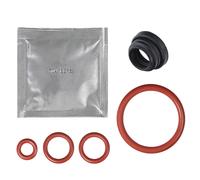 Guarnizione O-Ring per Saeco Philips Sm EP Per Bühgruppe Becco Serbatoio Acqua