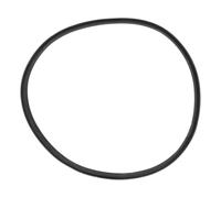 Guarnizione Oblò Anteriore 8077086018 compatibile Electrolux per Asciugatore