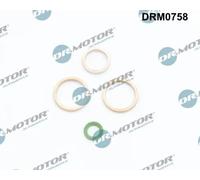 Guarnizione olio turbina DRM0758 Dr.Motor Automotive per RENAULT LAGUNA III