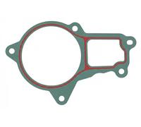 ELRING B19.010 Guarnizione, Pompa acqua
