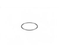 Guarnizione oring pompa acqua EPDM (Etilene-Propilene-Diene-Caucciù) 100 572
