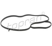 Guarnizione oring pompa acqua MVQ (silicone-caucciù) 628 330 TOPRAN per VW AUDI