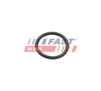 Guarnizione oring pompa acqua Pompa acqua FT49934 FAST