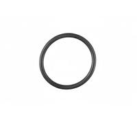Guarnizione oring termostato 1.890.533 EPS per AUDI VW
