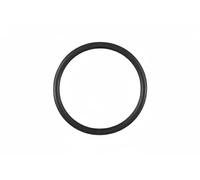 Guarnizione oring termostato 1.890.538 EPS per OPEL VW SEAT SKODA AUDI