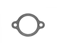 Guarnizione oring termostato 1.890.586 EPS per LAND ROVER SUZUKI