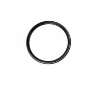 Guarnizione oring termostato 1.890.720 EPS per AUDI A4 B9 A4 B9 Avant