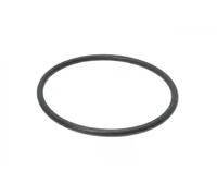 Guarnizione oring termostato 1.890.742 EPS per MAN F2000