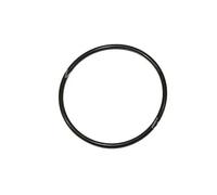 Guarnizione oring termostato 190069620 DELLO AUTOMEGA