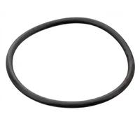 Guarnizione oring termostato 30 91 7964 SWAG per AUDI VW FORD SEAT SKODA