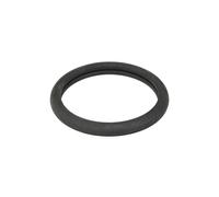 Guarnizione oring termostato 70-27837-00 VICTOR REINZ