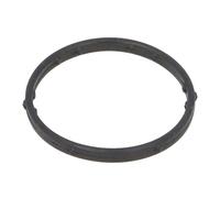 Guarnizione oring termostato EL248250 ELRING