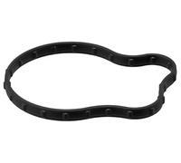 Guarnizione oring termostato EPDM (Etilene-Propilene-Diene-Caucciù) 099.190