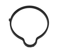 Guarnizione oring termostato EPDM (Etilene-Propilene-Diene-Caucciù) 690.730