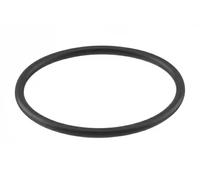 Guarnizione oring termostato NBR (Nitrile-Butadiene-Caucciù) 101 117 TOPRAN