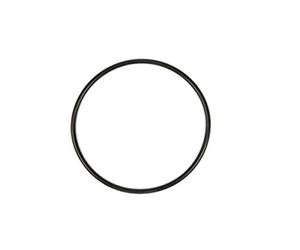 Guarnizione P61214 Superiore O-Ring di Ricambio per Pompa Filtro, Compatibile con Modelli Bestway 58366, 58486, 58495, 58497, 58498, 58499, 58500