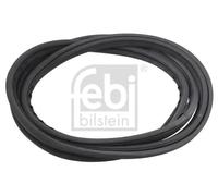 Guarnizione parabrezza 08882 FEBI BILSTEIN per MERCEDES-BENZ CLASSE S