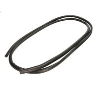 Guarnizione parabrezza BLIC 5703-04-6037390Q per TRANSIT Furgone (T_ _) 2 1985-