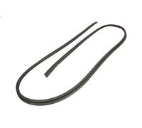 Guarnizione parabrezza BLIC 5703-04-6037911Q per FORESTER (SG_, S11SG) 2 2005-