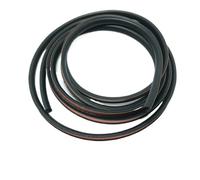 Guarnizione Per BMW E90 E60 E36 F30 E34 F10 F20 E92 E91 E53 E70 Per X5 Per X3 Serie 3/5/7 Sigillante Per Vetri Adesivo Tettuccio Apribile Auto Striscia Di Tenuta(4.09M)