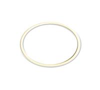 Guarnizione per filtro depuratore seagull ricambio originale its todini 10.54