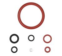 Guarnizione per Philips Saeco EP HD Sm 2000 3000 4000 5000 Series Gruppo O-Ring