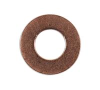 Guarnizione Per Pompa Di Svuotamento, Rame 10 X 20 X 2Mm 10Pz 36806