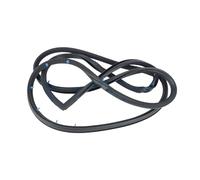 Guarnizione Per Porta Guarnizione In Gomma OTR Per Apertura Portiera Per Mitsubishi Per Pajero Per Montero IO Pinin TR4 H76W H77W 1999-2004 MR351385 MR351386 OQRDVVTT(Rear Right)