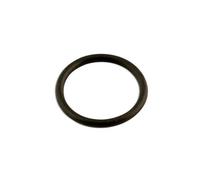 Connect Coppa Tappo Rondella, O-ring IN Gomma 18 x 22 x 2mm 50pc 31727