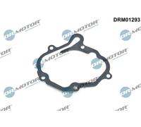 Guarnizione pompa a vuoto Acciaio DRM01293 Dr.Motor Automotive per VW SKODA AUDI