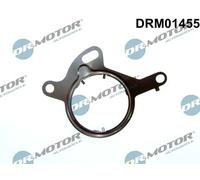 Guarnizione pompa a vuoto DRM01455 Dr.Motor Automotive per VOLVO FORD