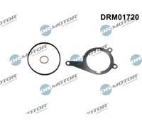 Guarnizione pompa a vuoto DRM01720 Dr.Motor Automotive per AUDI VW