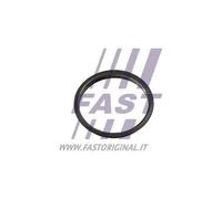 Guarnizione pompa a vuoto FT49853 FAST per FORD TRANSIT Autobus RANGER