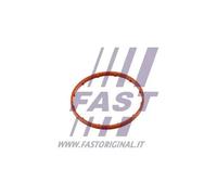 Guarnizione pompa a vuoto FT50701 FAST per CITROËN PEUGEOT